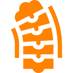 spine.png