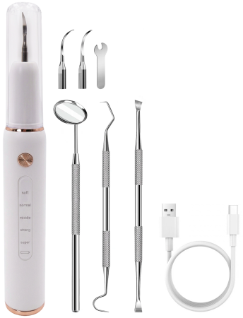 SenCiciMen Electric Teeth Cleaner (SCMT4)